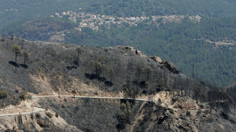 INCENDIE-CORSE.jpg